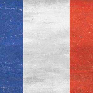 French Flag Distressed Cochlear Nucleus 5 Sound Processor Skin